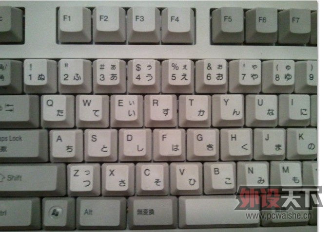 jubu.jpg