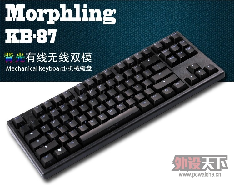 Morphling plum 87 ߱ ˭ù?