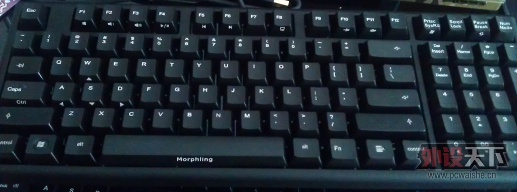 ����������յ���PLUM96��ɫ����-������