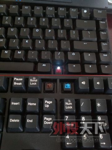 �����ݡ���DUCKY 1008-L�������   �ѳ� ����~