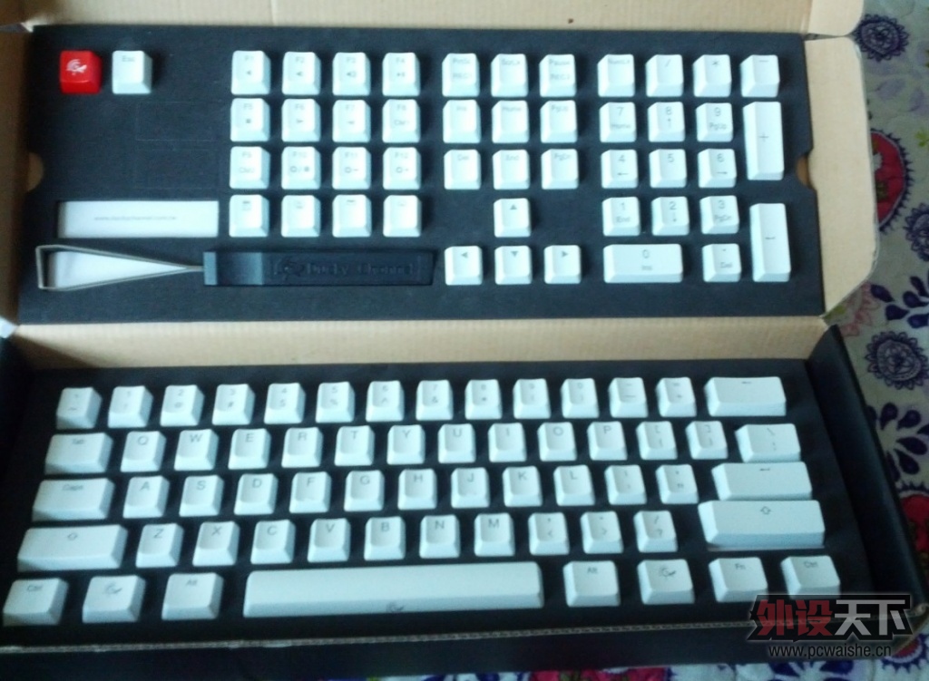 ���ѳ���95��ducky spring����ɫ͸�⣩108��ñ