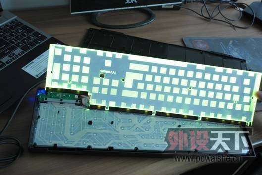 ������ƪ����ѱ�Ĥ�������̿�����̰��scoutС�⣬��֤�Ƿ񱳹�صĺù�������