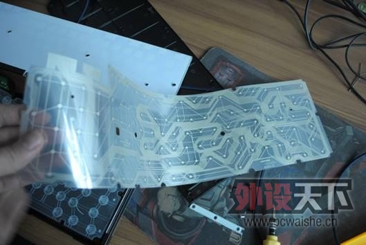 ������ƪ����ѱ�Ĥ�������̿�����̰��scoutС�⣬��֤�Ƿ񱳹�صĺù�������