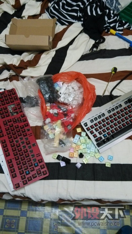 IMG_20130429_124651.JPG