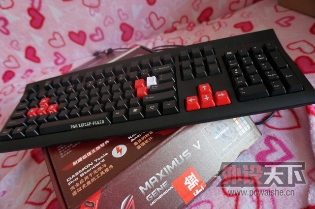 ���������ѳ� лл��D