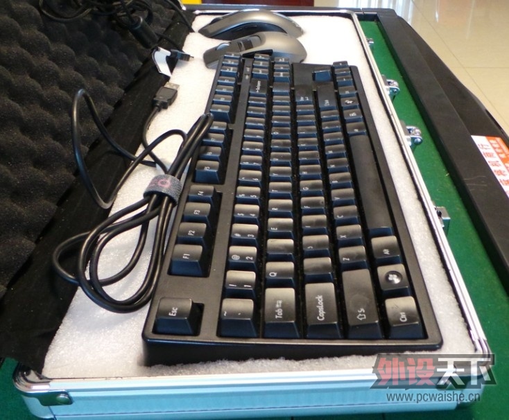 [12P] ���רҵ������û!�ڶ��� ��ʽ���ߣ���