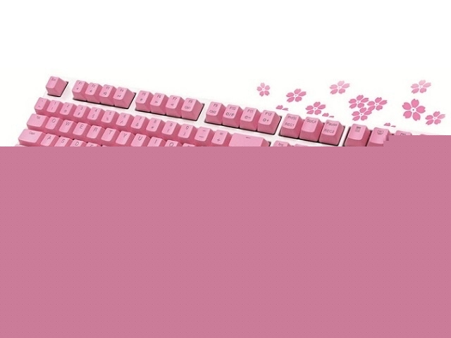 ���¿���ͼ*���A���D*��Ԥ����Ducky Shine2 ��è�� ����ӣ���棩