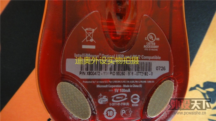 DSC02824.jpg