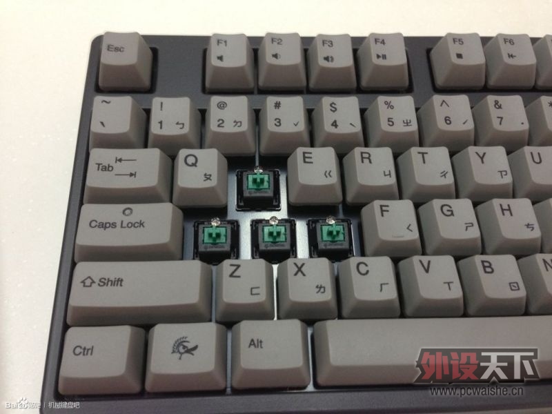 5555555.jpg