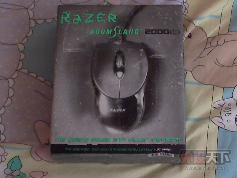 IMG00012.jpg