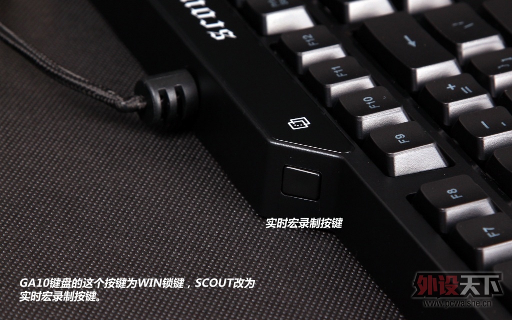 1600ɫ ĦScout 
