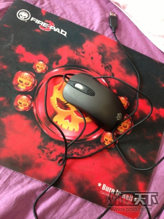 ���ȷ�������KINZU����ɫĥɰ����� �͵����������棡