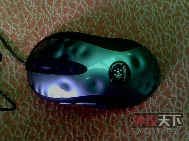 IMG0143A.jpg