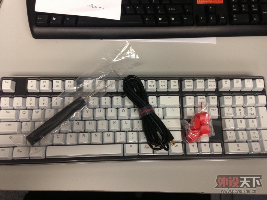 ���¿���ͼ*���A���D*��Ԥ����Ducky Shine2 ��è�� ����ӣ���棩