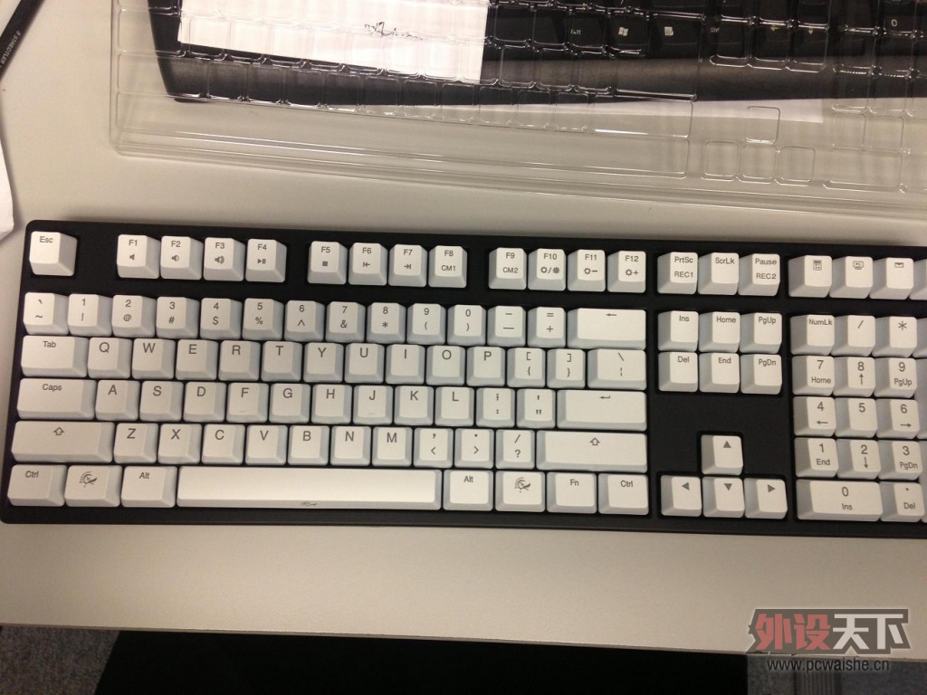 ���¿���ͼ*���A���D*��Ԥ����Ducky Shine2 ��è�� ����ӣ���棩
