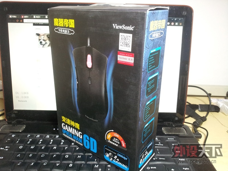 ���ߵ�˽���ӡ���������ӥ