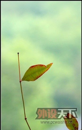 ��һ�μ� - ��Ȫ�Ե����� - ������.�ѵõ�����