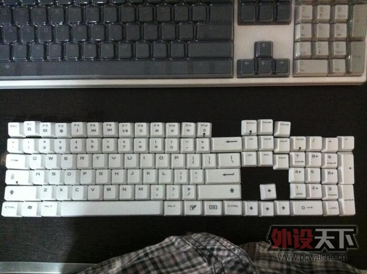 T1Gi5oXppaXXaAGA.0_728x728.jpg