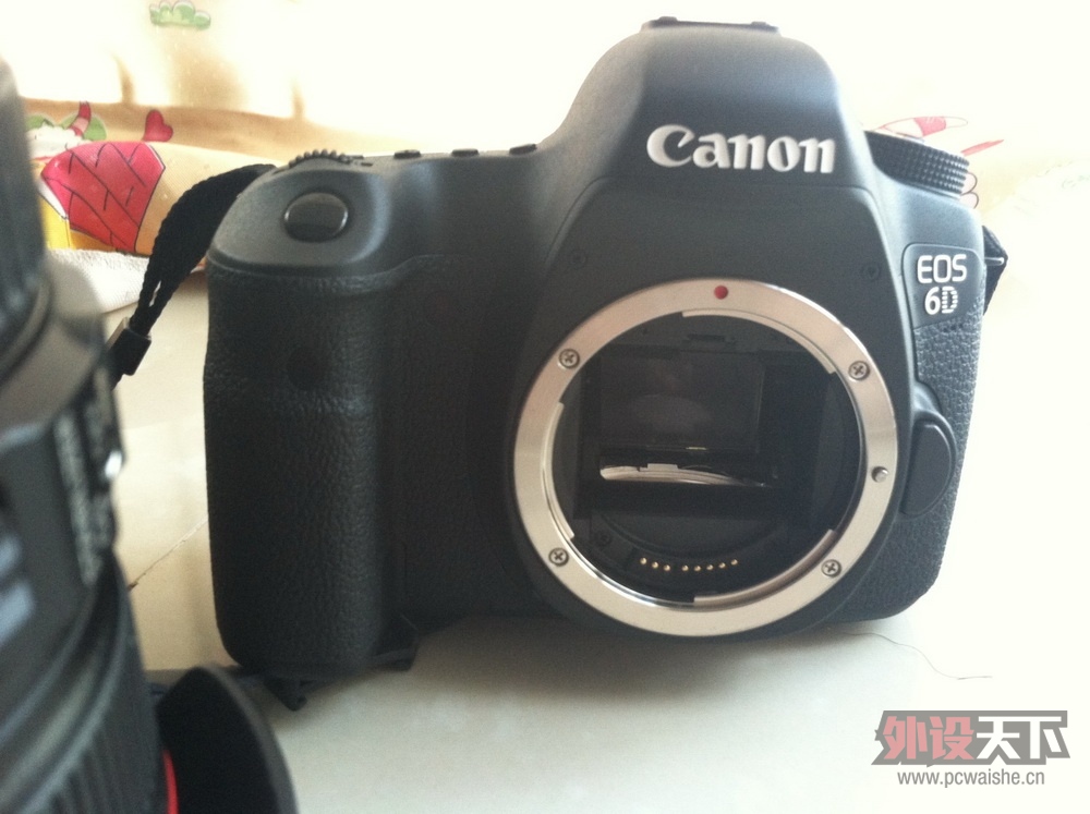 [5P] ɹ��������canon6D + 24-105��ͷ�����Ǯ���û��