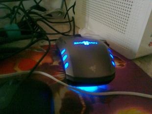 T1jnWEXt8aXXa9_Wg3_310x310.jpg