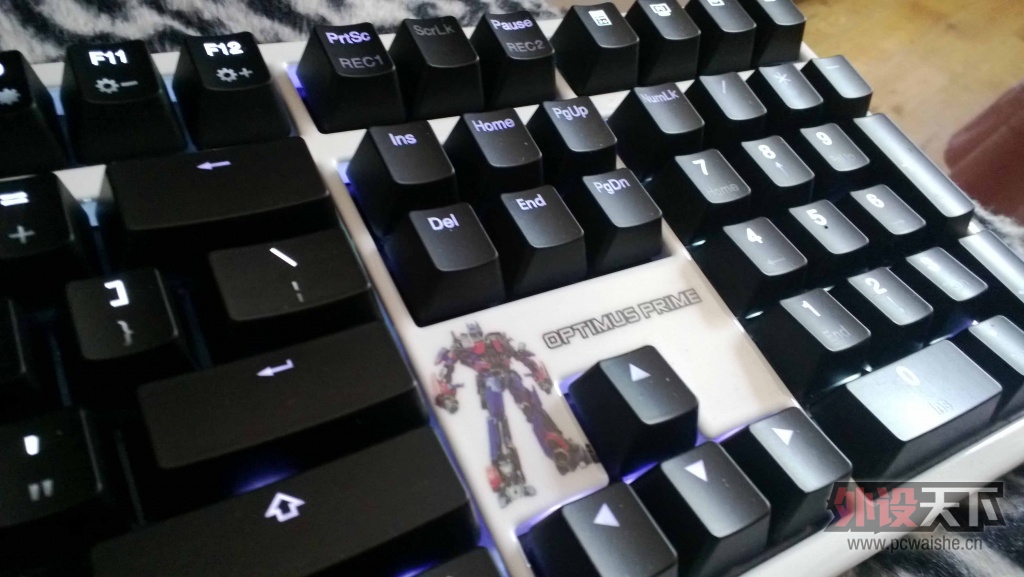 WP_20130511_003.jpg