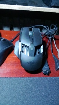 WP_20130510_006.jpg