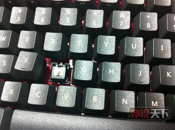 ѳ KBT Race  PBT ñޱ