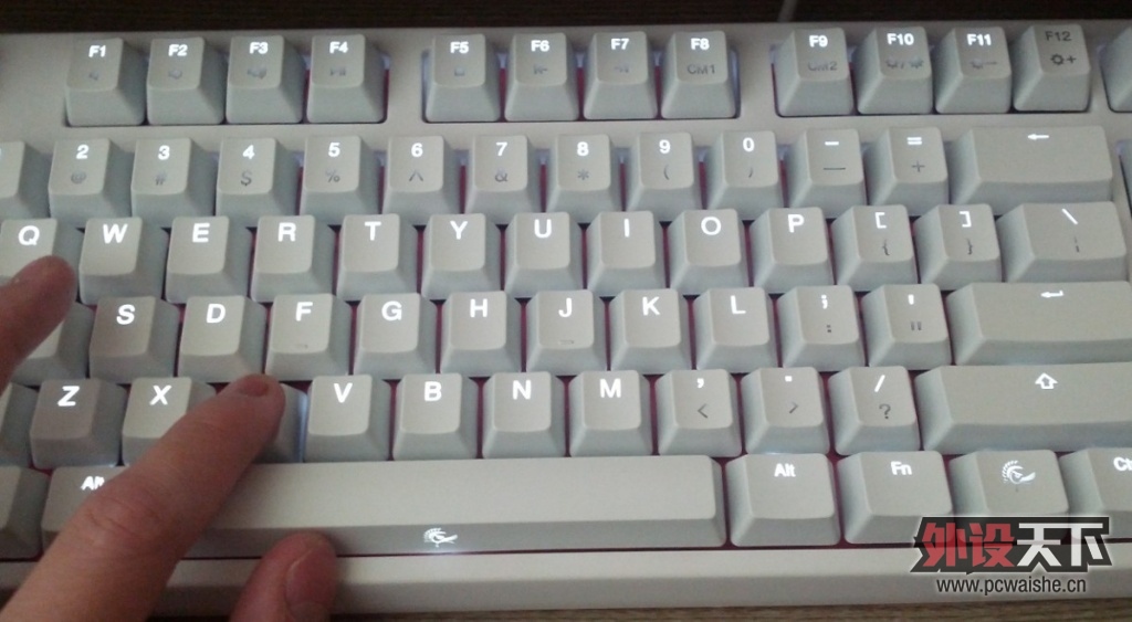�����������ˣ��ո�DUCKY9087����׹⣡