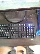 IMGSRC_20130519130239_73.jpg
