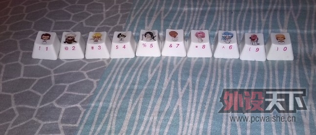 5204.jpg