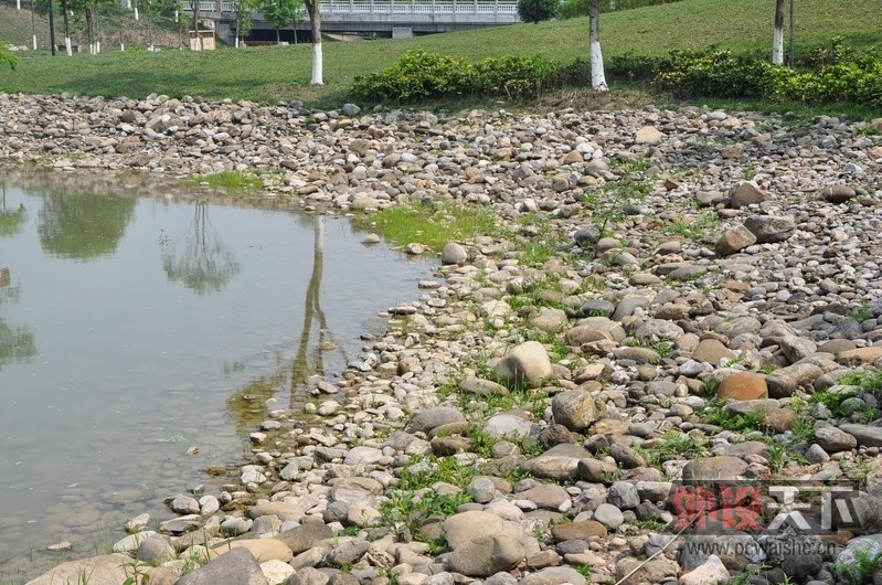 ��ɫħ����С�������޷��԰�