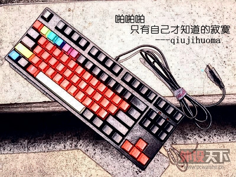 �ֳ�100��ù�ɲ˰����հ�F1����