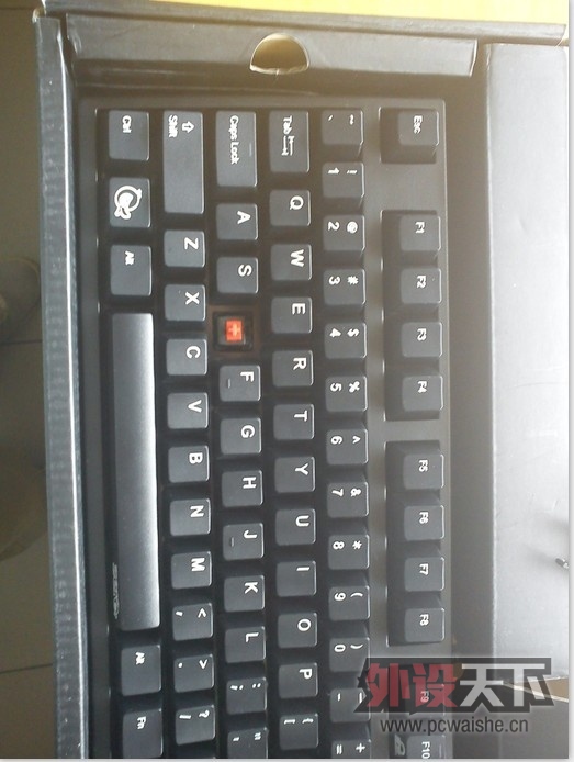 321123123.jpg