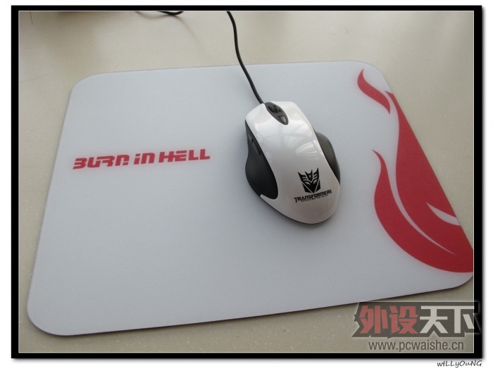 NSP����������⣬ת�����ѣ�willyong