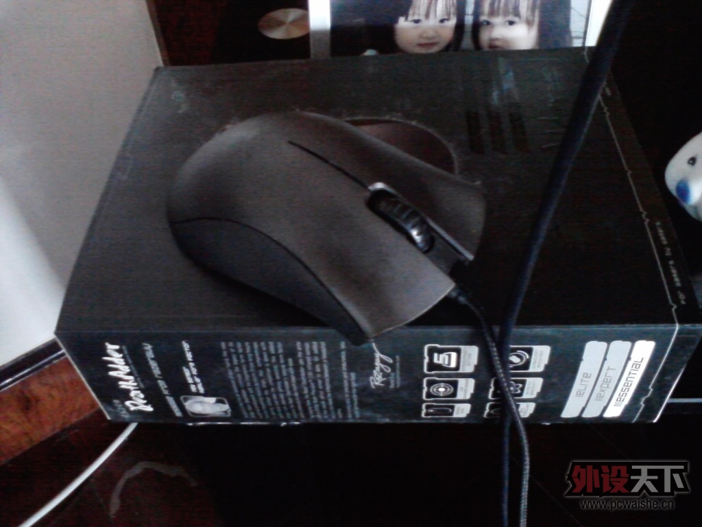 P290513_10.00.jpg