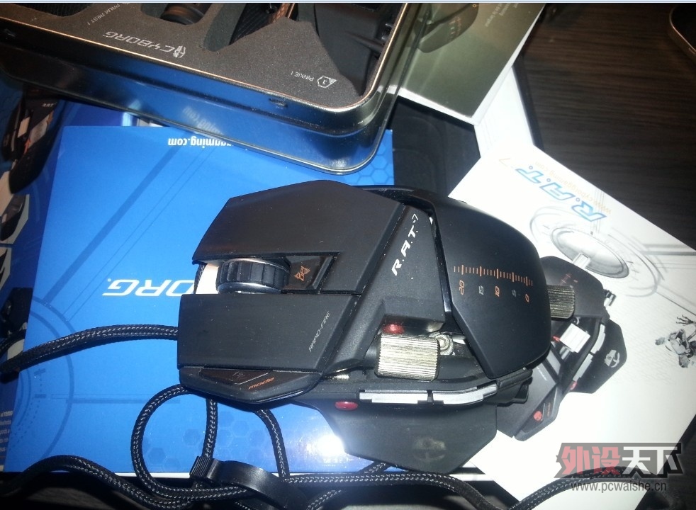 rat7.jpg