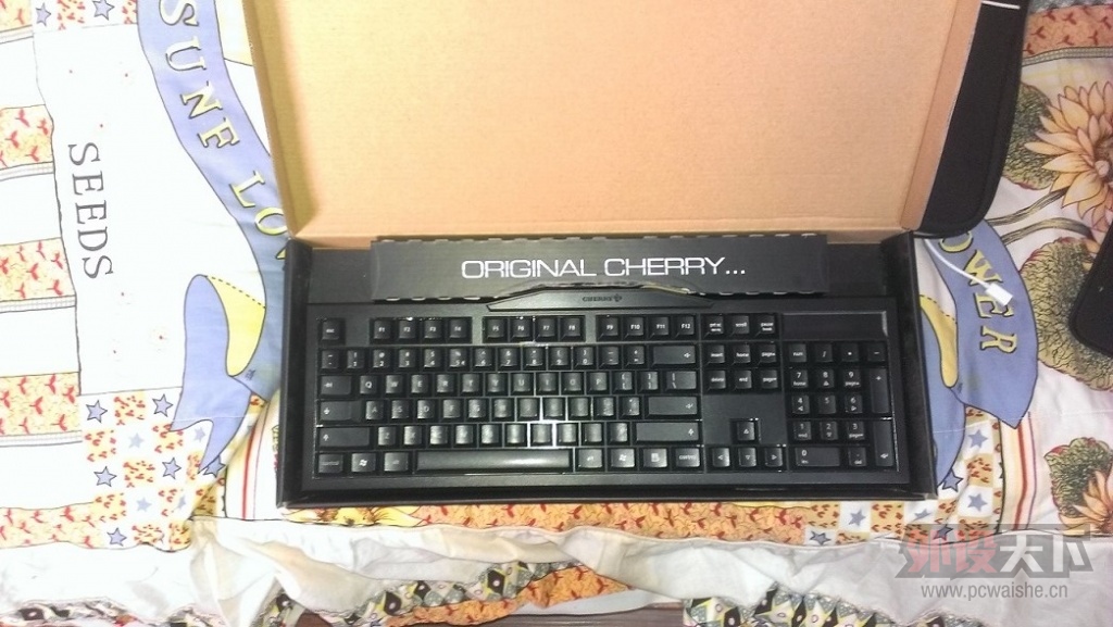 �����졿�ѳ�