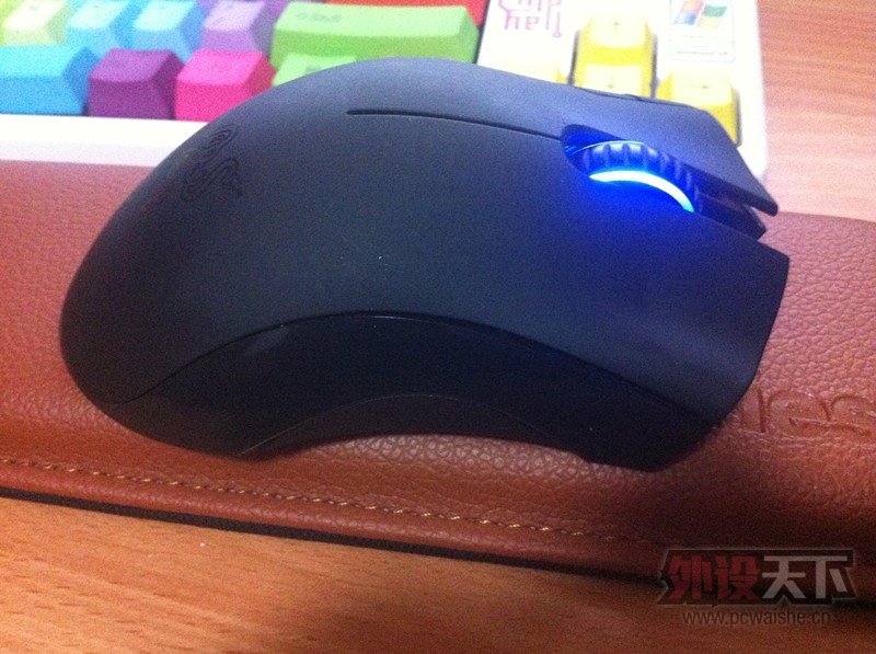������87 PBT �زʺ��ñ�Ϳ���