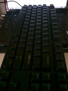 KBT ONI87&ʹĵ