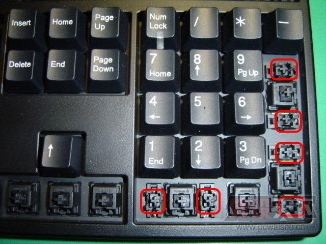DUCKY2108