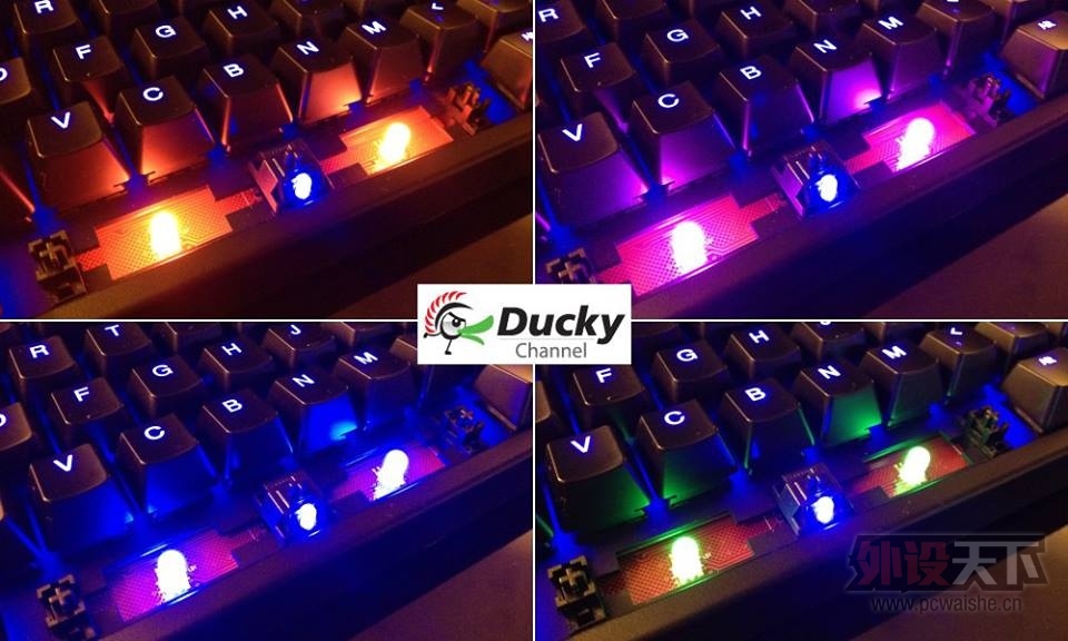 DUCKY SHINE3�¹���
