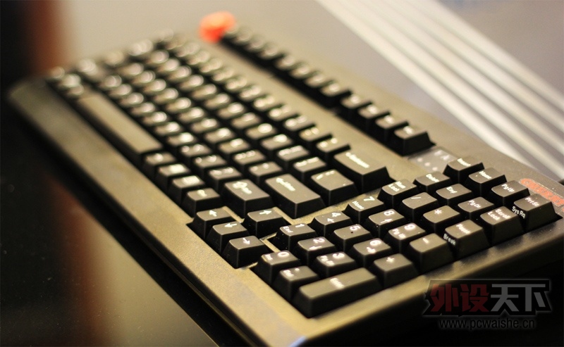 Palmiss 87 ̴С޿cherry1865
