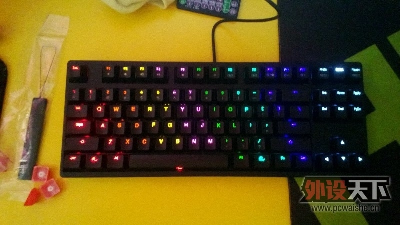 DUCKY SHINE3¹