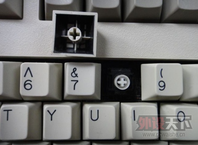 [�ѽ��]˫Ҷ��Ҳ����̨�������