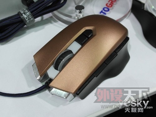 ������豪̨��չ��---��Ʒ����ʿ���࣡����-������Ů��