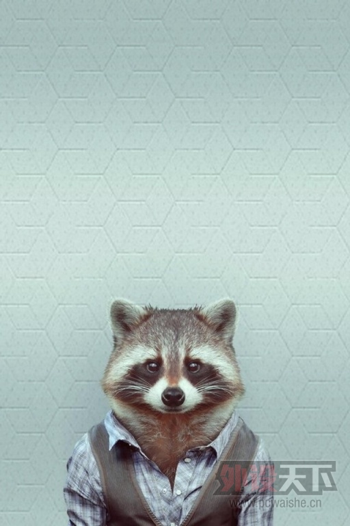 ⡿