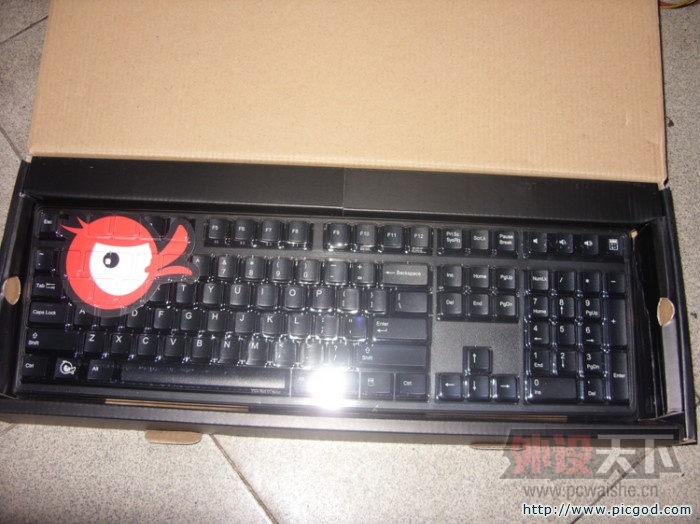 ��Խԭ��DUCK2108   �Ȳ��LED��