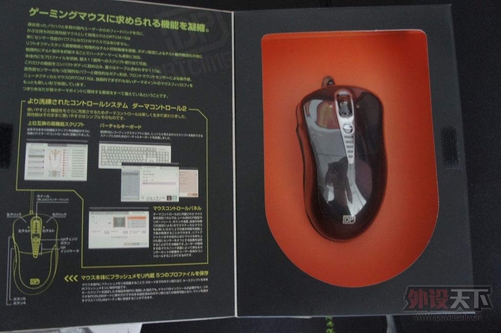 DSC07842.JPG