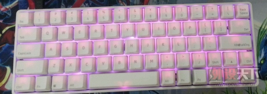 [������]��PURE PRO �����ϵ�