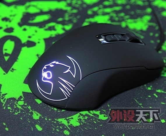 003137r05ey97gvm9tstur[1].jpg